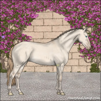 Horse Color:Perlino Dun 