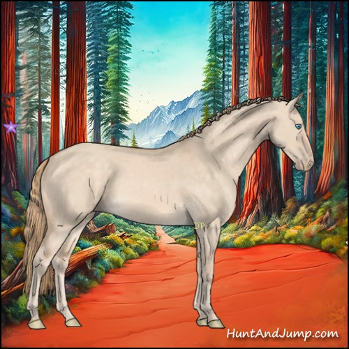Horse Color:Perlino Dun 