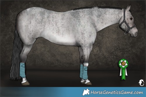Horse Color:Platinum Brown Roan Dun Tobiano Rabicano Brindle 