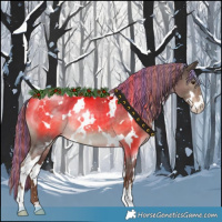 Horse Color:Painted White Spotted Liver Red Dun Sabino 