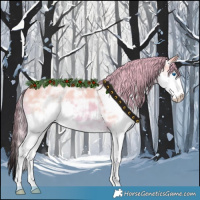 Horse Color:Watercolor Red Ice Roan Sabino Splash