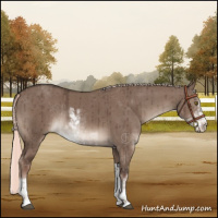 Horse Color:Liver Red Dun Mushroom Sabino Rabicano Brindle 
