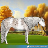 Horse Color:White Spotted Liver Red Dun Mushroom Brindle 