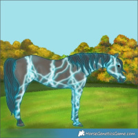 Horse Color:Thunderstruck Grullo 