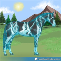 Horse Color:Thunderstruck Black