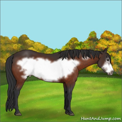 Horse Color:Brown Frame 