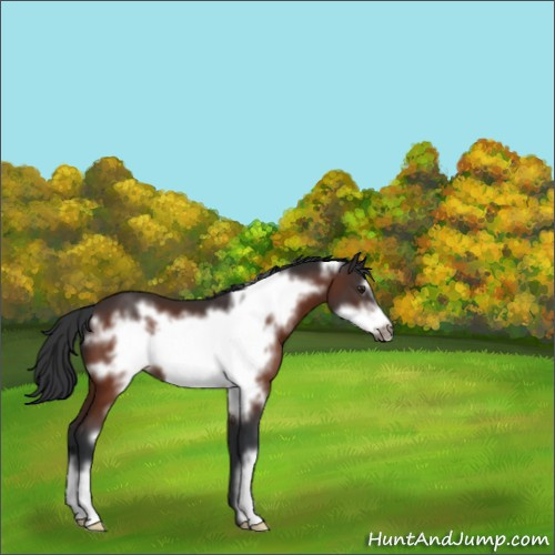 Horse Color:Brown Frame 