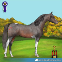 Horse Color:Brown Tobiano Varnish 