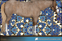 Horse Color:White Spotted Chocolate Palomino Roan 