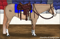 Horse Color:Red Dun Splash 