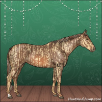 Horse Color:Palomino Dun  and Red Roan 