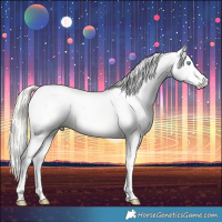 Horse Color:Chestnut Snowdrop Pearl Sabino 