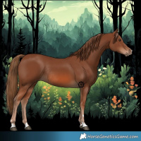 Horse Color:Chestnut Rabicano 