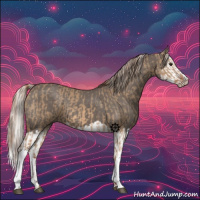 Horse Color:Red Dun and Silver Black Splash