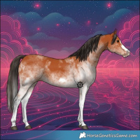 Horse Color:White Spotted Bay Splash and White Spotted Bay Splash Frame