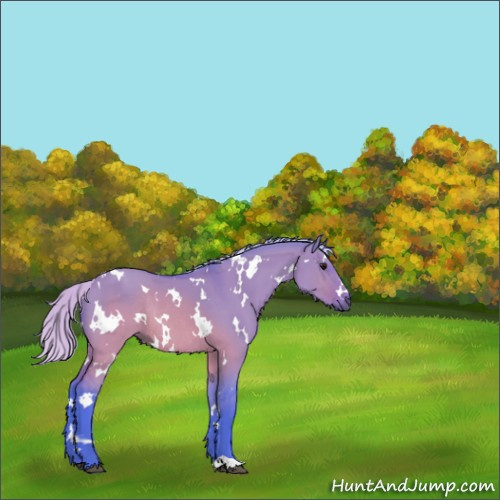 Horse Color:Watercolor White Spotted Silver Brown Dun Rabicano 