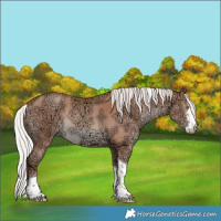 Horse Color:Silver Sable Champagne Ice Sabino Tobiano Rabicano 