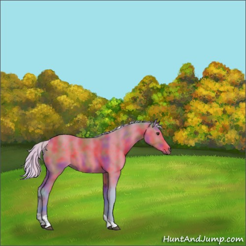Horse Color:Nacre Watercolor Silver Brown Tobiano Rabicano 