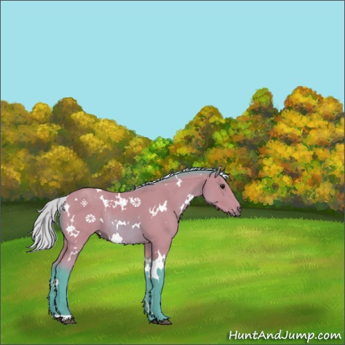 Horse Color:Watercolor White Spotted Silver Bay Rabicano 