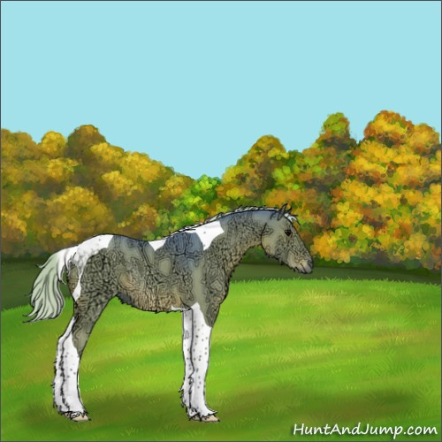 Horse Color:Watercolor Silver Black Ice Tobiano Rabicano 
