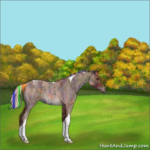 Horse Color:Painted Nacre Silver Bay Ice Roan Tobiano 