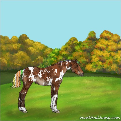 Horse Color:Painted White Spotted Silver Bay Ice 