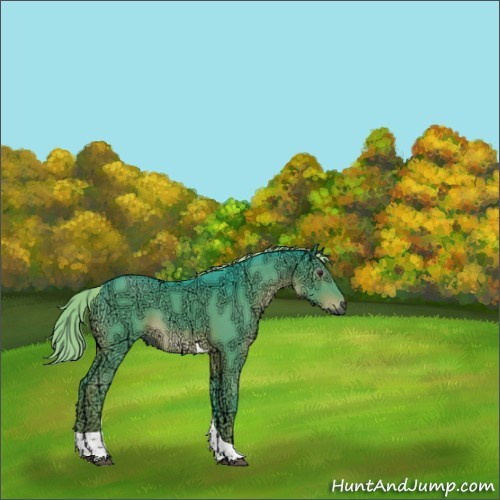 Horse Color:Gray Watercolor Liver Chestnut Ice Sabino Tobiano 