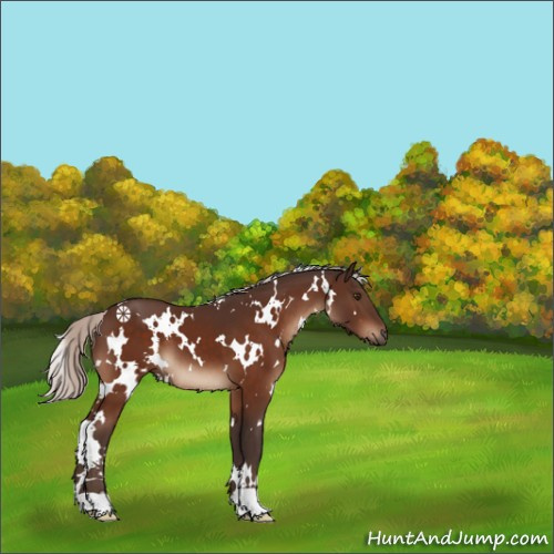 Horse Color:White Spotted Silver Brown 
