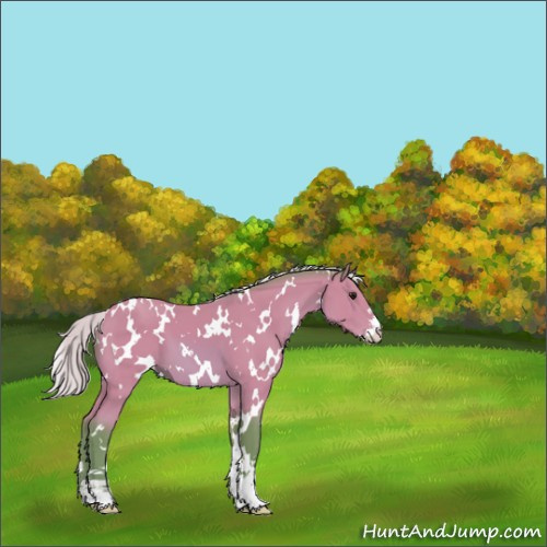 Horse Color:Watercolor White Spotted Silver Bay Sabino 