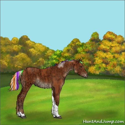 Horse Color:Painted Silver Bay Ice Sabino Tobiano 