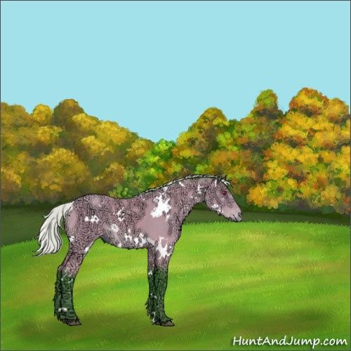 Horse Color:Watercolor White Spotted Silver Brown Chinchilla Ice 
