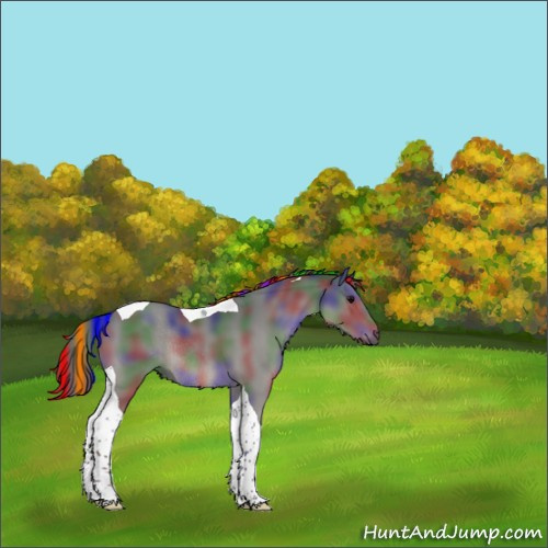 Horse Color:Painted Nacre Black Sabino Tobiano Rabicano 