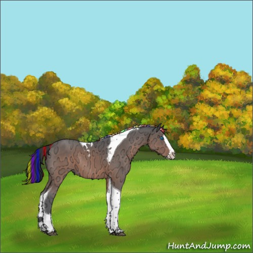Horse Color:Painted Brown Ice Splash Tobiano Rabicano 