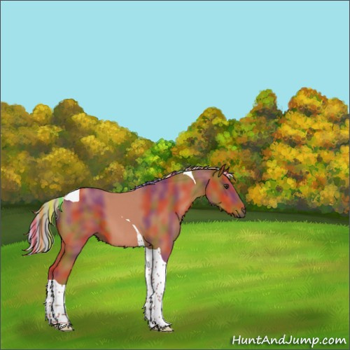 Horse Color:Painted Nacre Silver Brown Tobiano 
