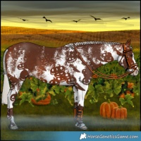Horse Color:White Spotted Silver Brown 