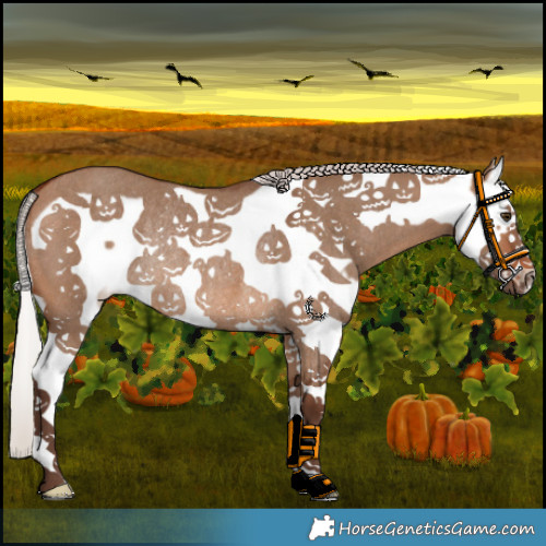 Horse Color:Silver Brown Dun Splash Frame Rabicano 