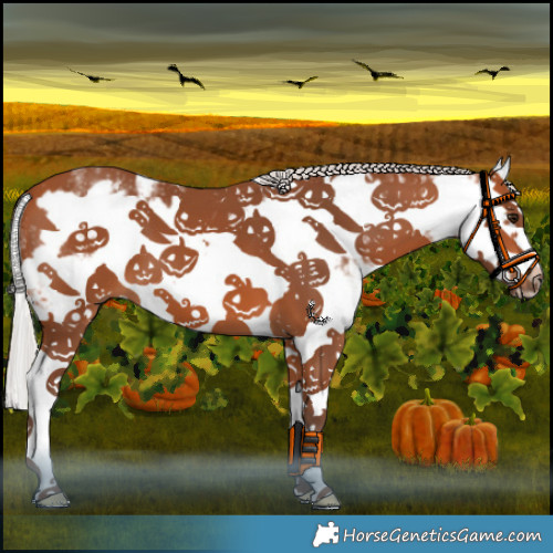 Horse Color:White Spotted Silver Bay Splash Frame 