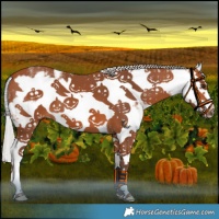 Horse Color:White Spotted Silver Bay Splash Frame 
