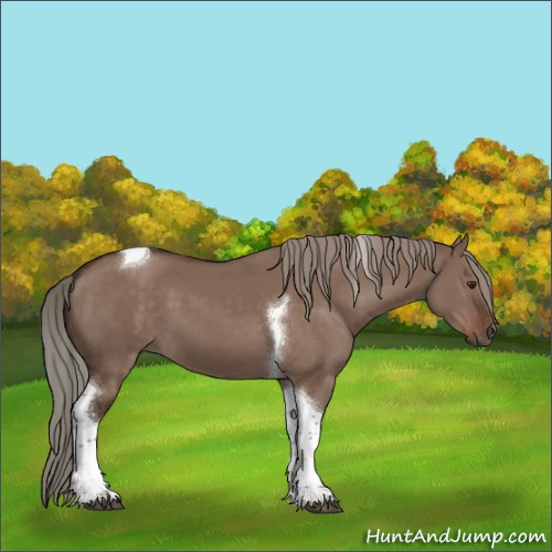 Horse Color:Liver Red Dun Mushroom Tobiano 