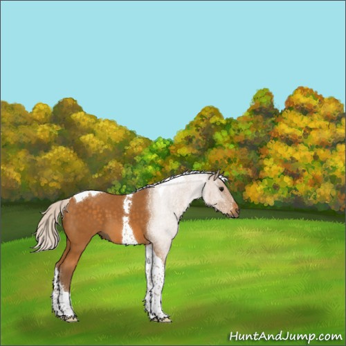 Horse Color:Silver Buckskin Tobiano 