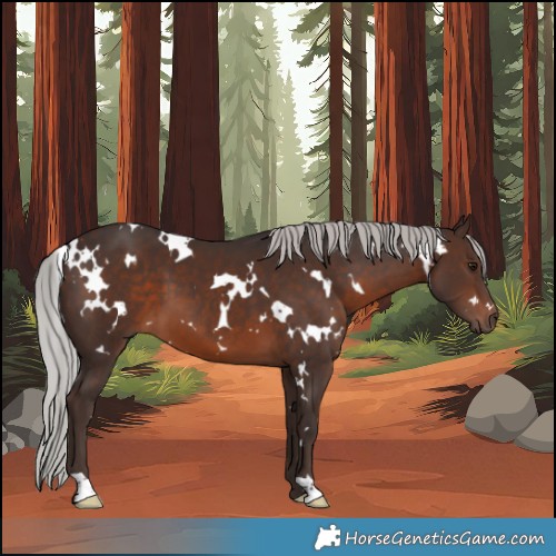 Horse Color:White Spotted Silver Brown Mushroom 