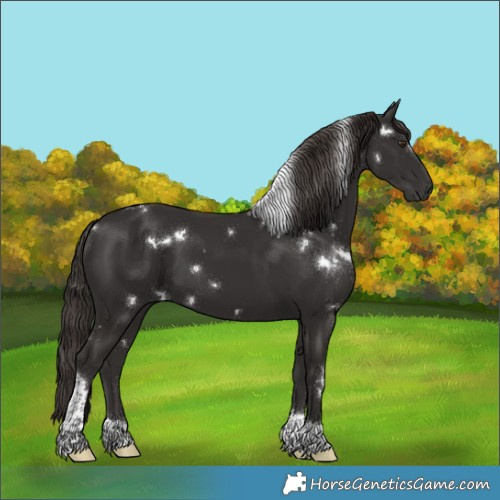 Horse Color:White Spotted Liver Chestnut Mushroom Tobiano Rabicano 