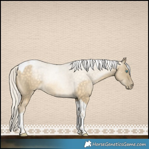 Horse Color:Silver Buckskin Pearl Dun Tobiano 