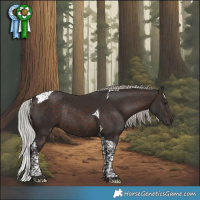 Horse Color:Silver Brown Tobiano Rabicano