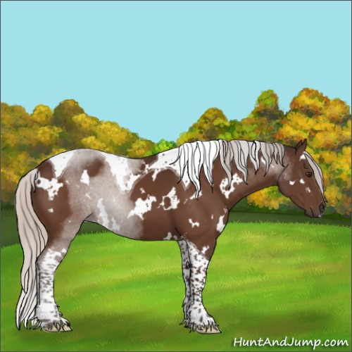 Horse Color:White Spotted Silver Brown Tobiano 