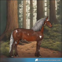 Horse Color:White Spotted Silver Brown 