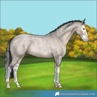 Horse Color:Brown Roan Dun Splash 