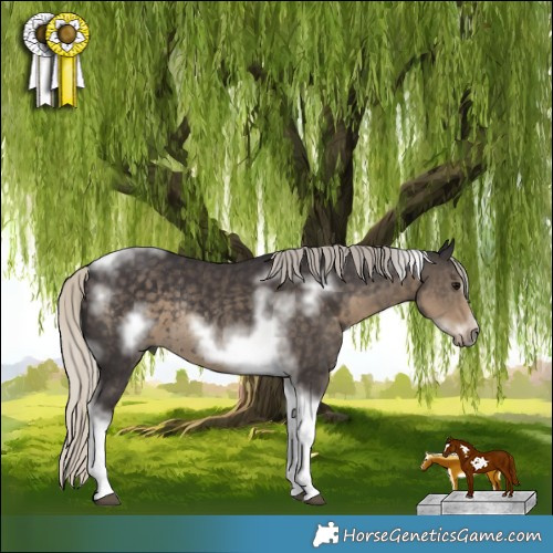 Horse Color:White Spotted Silver Smoky Black Tobiano Frame Rabicano 