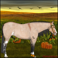 Horse Color:Brown Roan Dun Sabino Rabicano