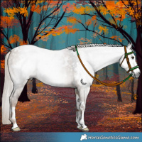 Horse Color:Gray White Spotted Liver Red Dun 